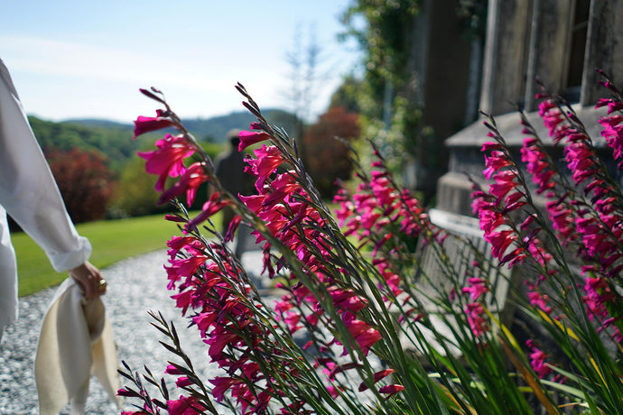 Hotel Endsleigh: Spring Bloom